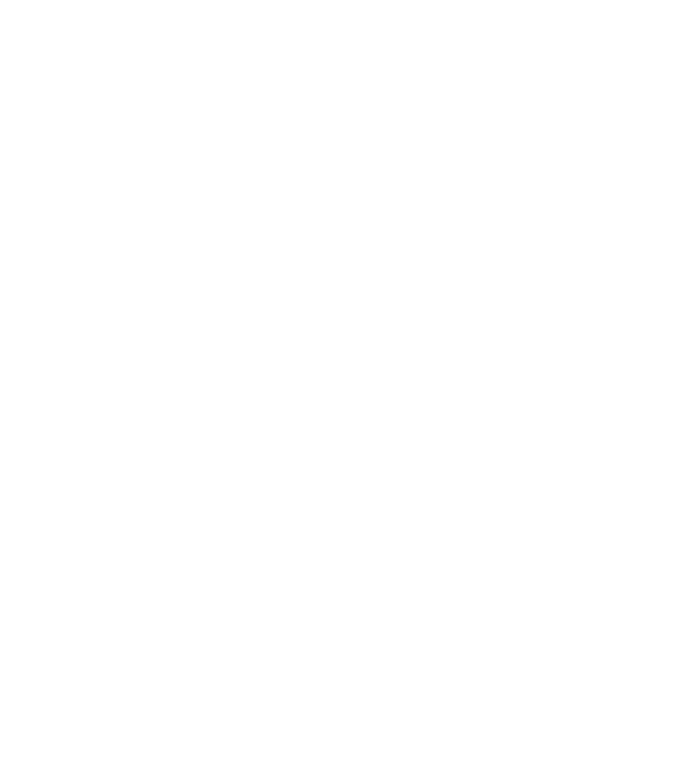 Meggitt Logo für dunkle Hintergründe (transparentes PNG)
