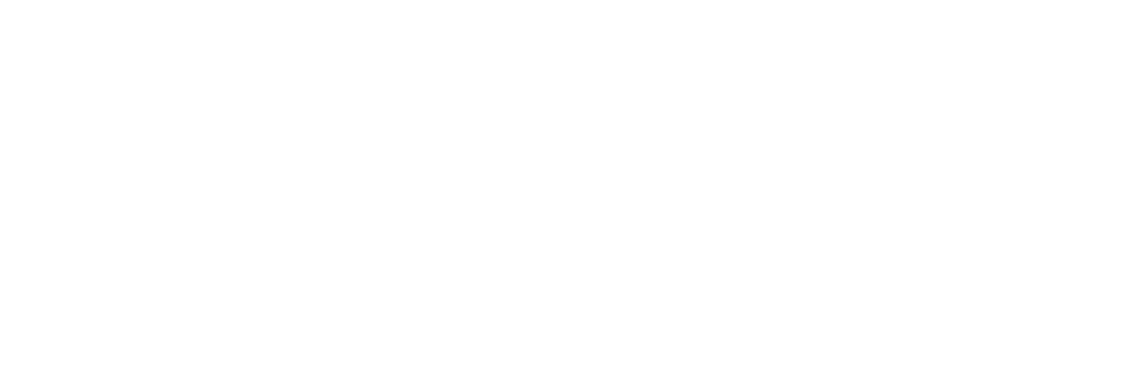 Magnite logo fulle size on a dark background (transparent PNG)