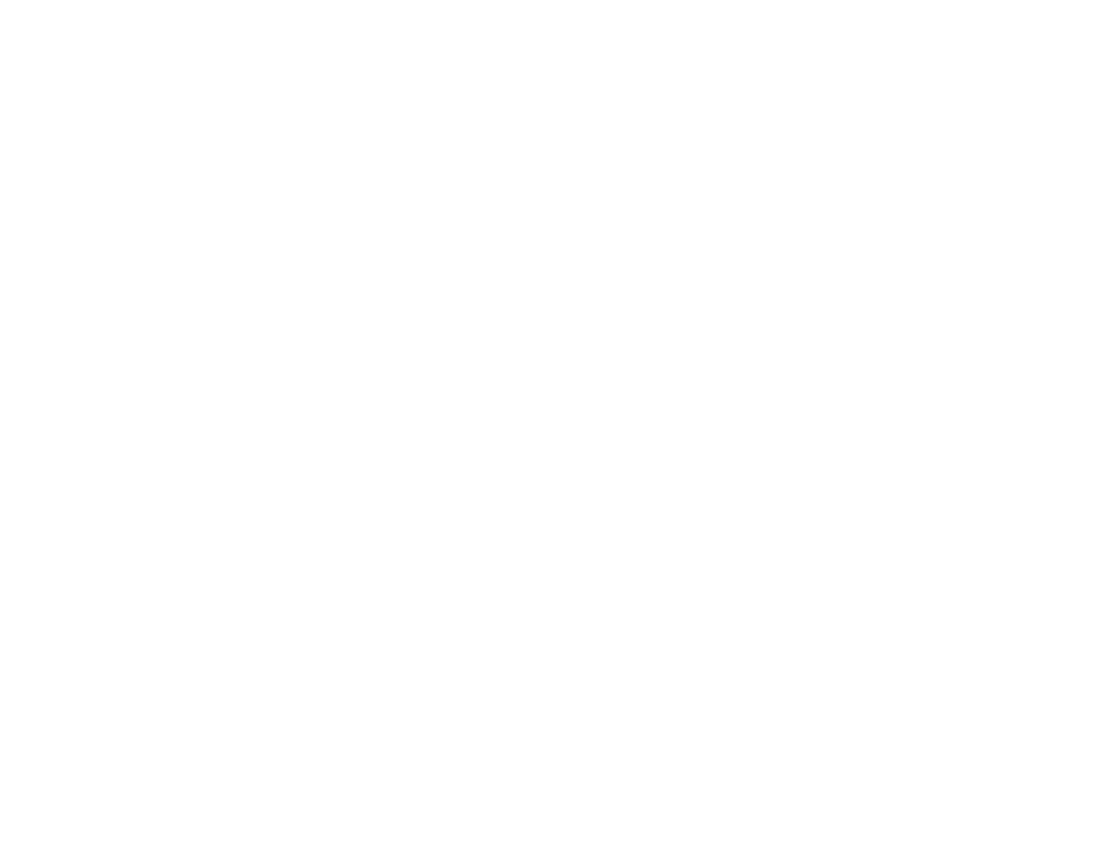 Mirza International
 logo pour fonds sombres (PNG transparent)