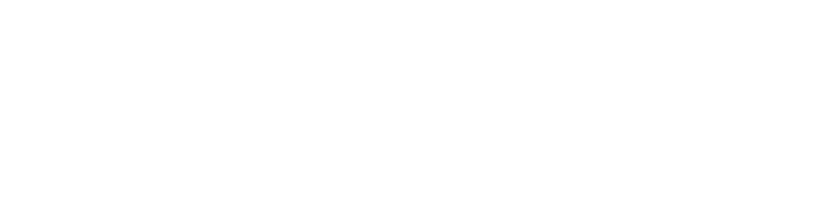 Mirza International
 logo grand pour les fonds sombres (PNG transparent)