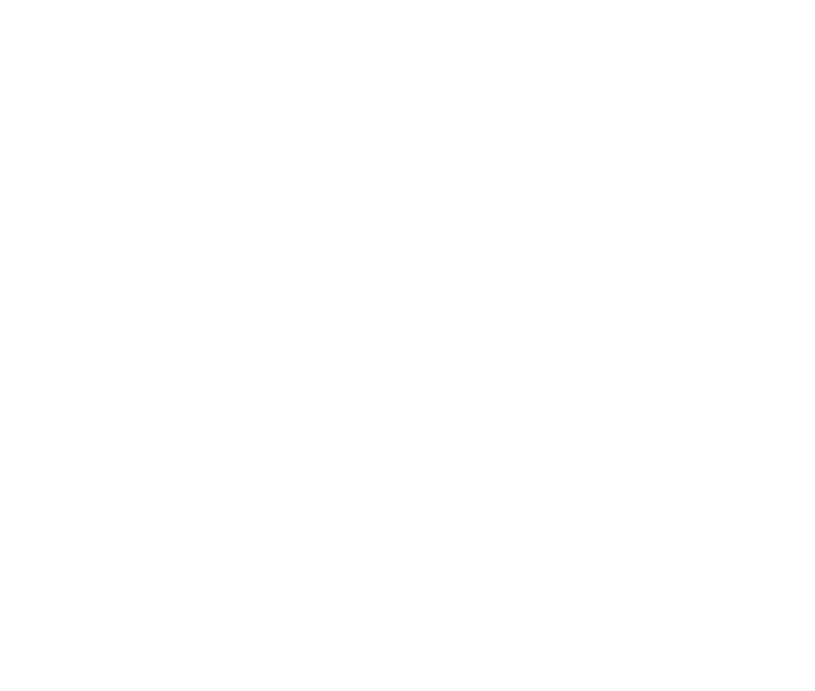 Placoplatre logo for dark backgrounds (transparent PNG)