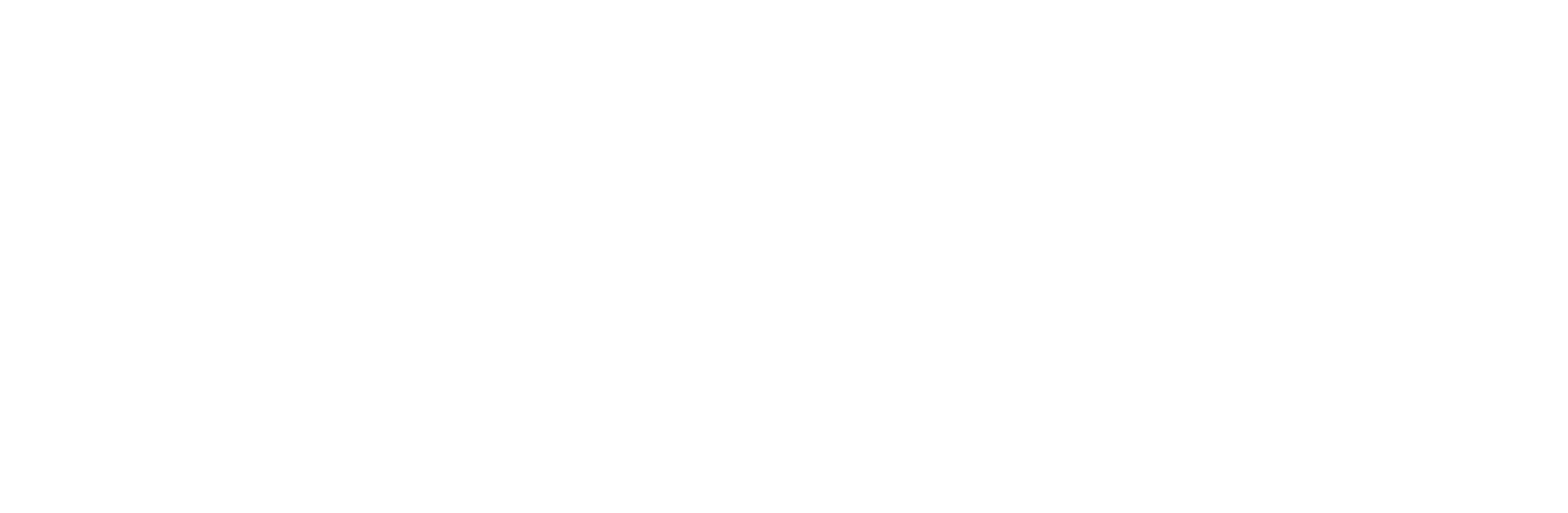 Placoplatre logo large for dark backgrounds (transparent PNG)
