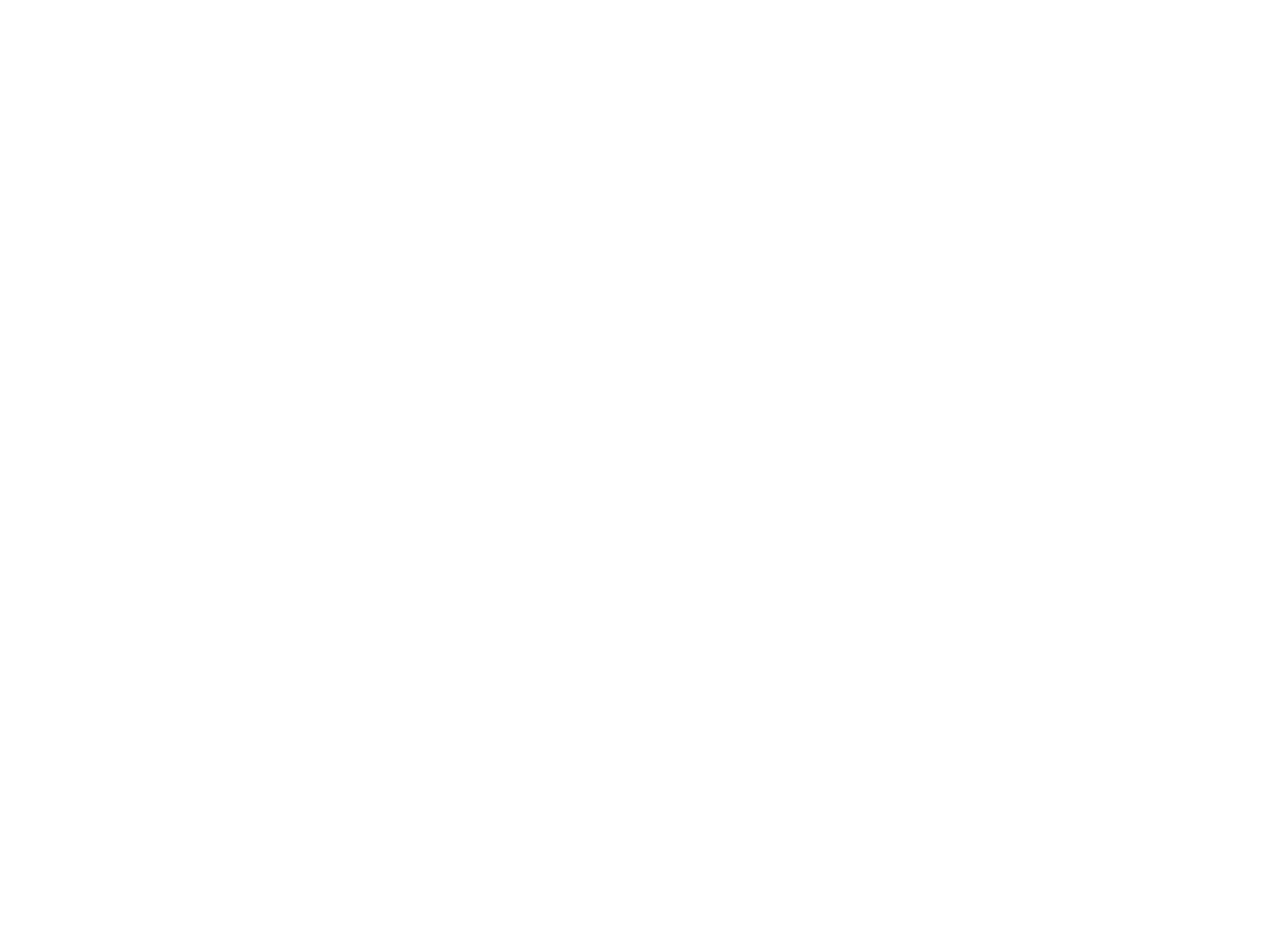 Magnachip Logo für dunkle Hintergründe (transparentes PNG)