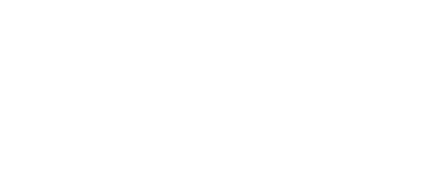 The NAGA Group logo fulle size on a dark background (transparent PNG)