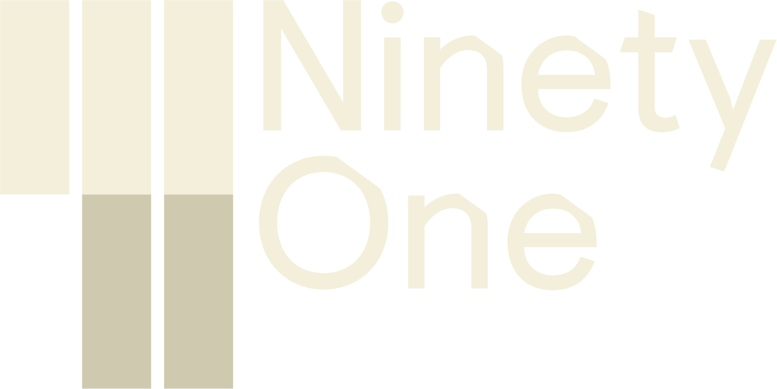 Ninety One Group logo fulle size on a dark background (transparent PNG)