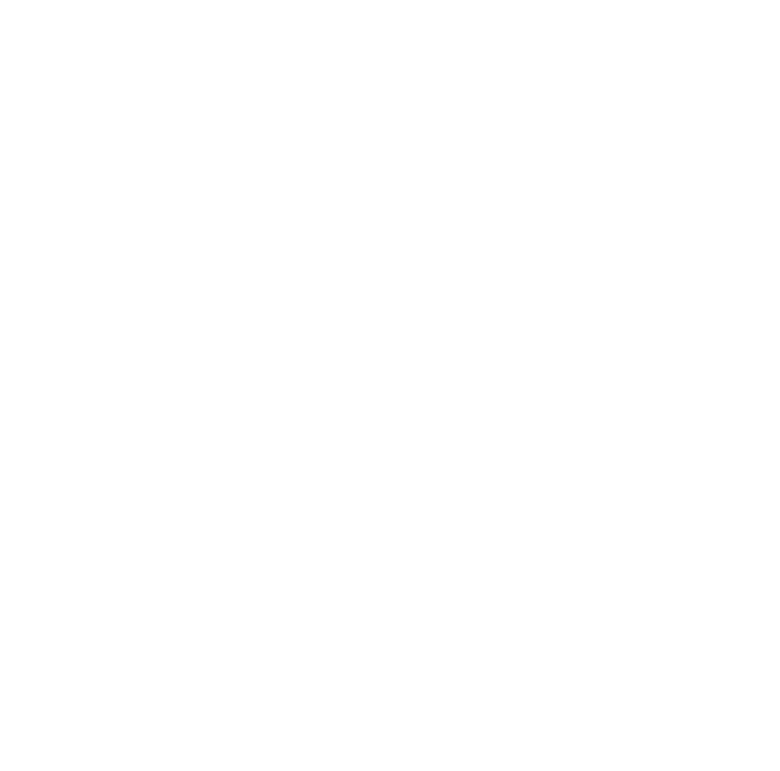 Nacon logo pour fonds sombres (PNG transparent)