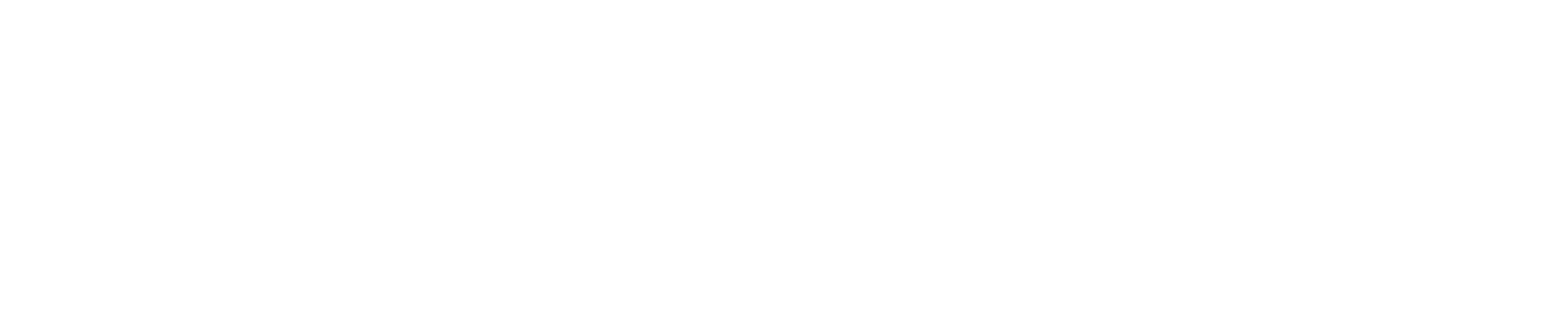 Nacon logo large for dark backgrounds (transparent PNG)