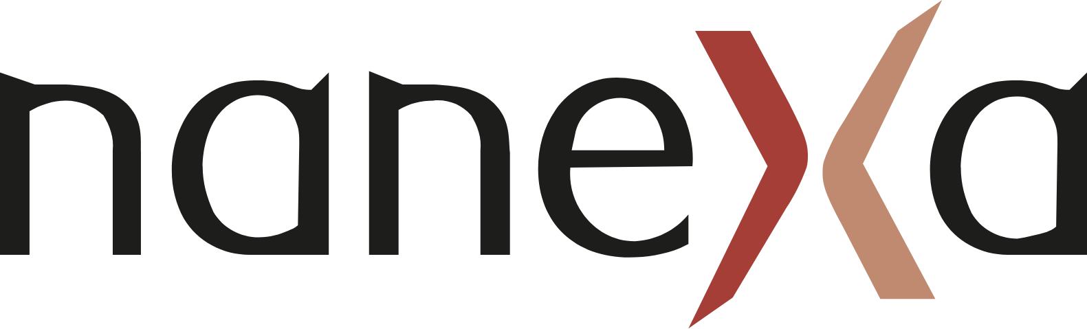 Nanexa AB logo large (transparent PNG)