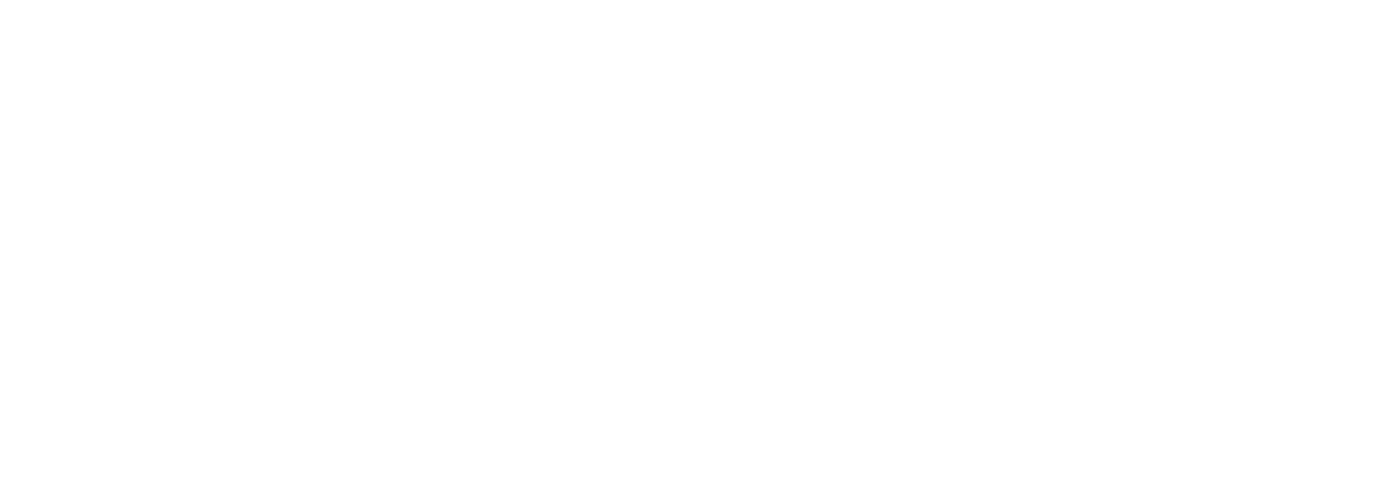 Nanoform Finland Logo groß für dunkle Hintergründe (transparentes PNG)