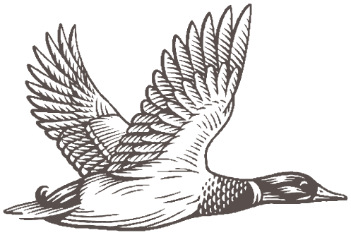 The Duckhorn Portfolio logo (transparent PNG)