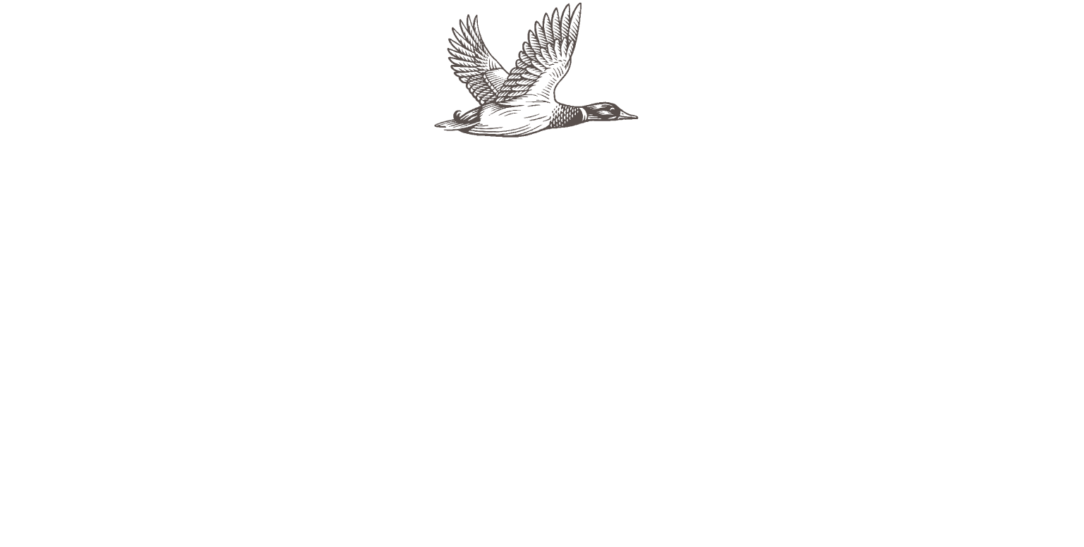 The Duckhorn Portfolio logo fulle size on a dark background (transparent PNG)