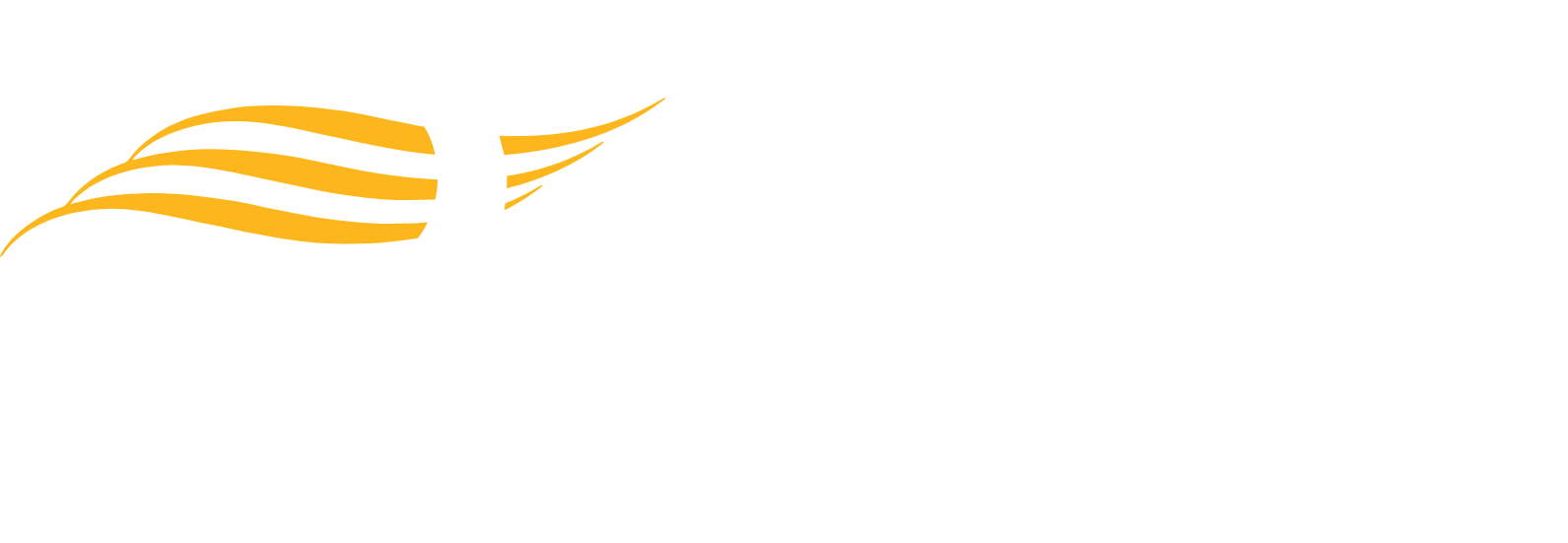 Inari Medical
 logo large for dark backgrounds (transparent PNG)