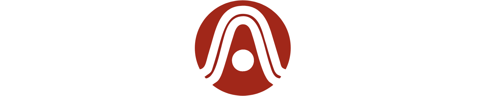 National Aluminum & Alloy Logo groß für dunkle Hintergründe (transparentes PNG)