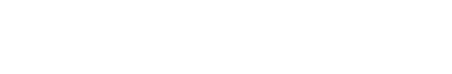 Navient Logo groß für dunkle Hintergründe (transparentes PNG)