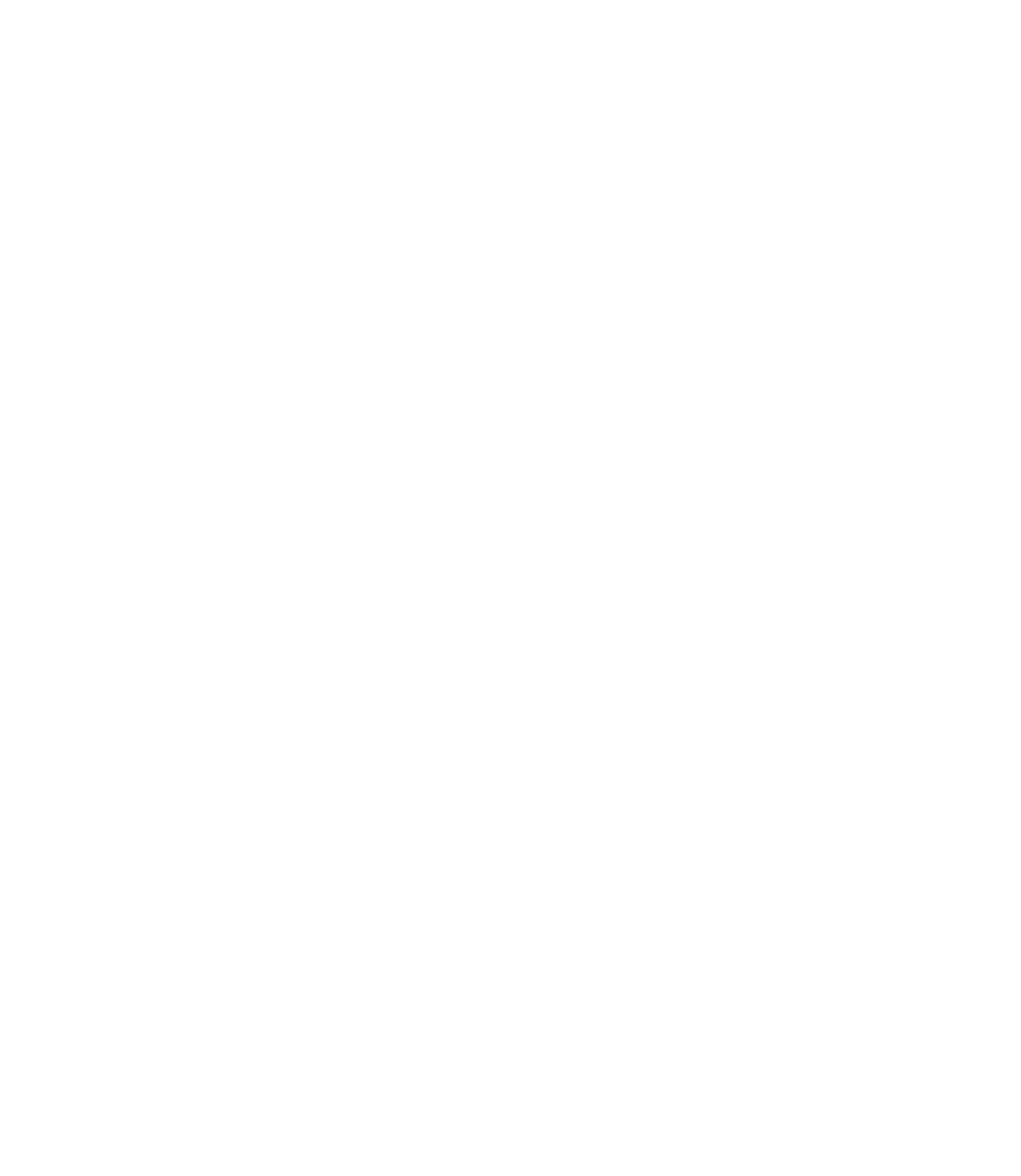 Navan logo pour fonds sombres (PNG transparent)