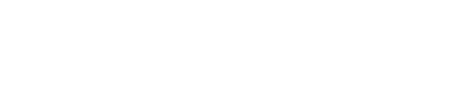 Navan logo grand pour les fonds sombres (PNG transparent)