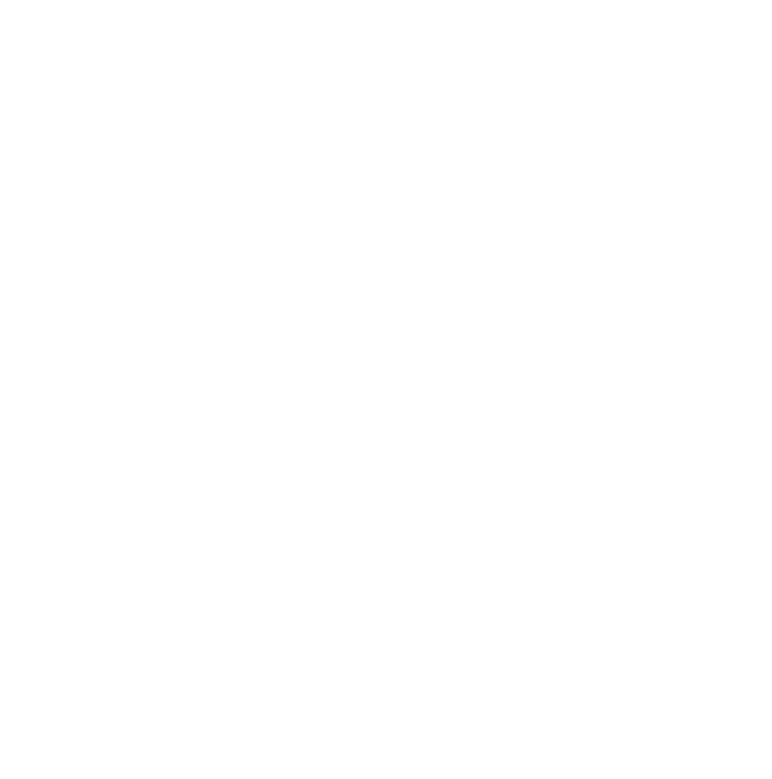 Nürnberger Versicherung
 logo pour fonds sombres (PNG transparent)