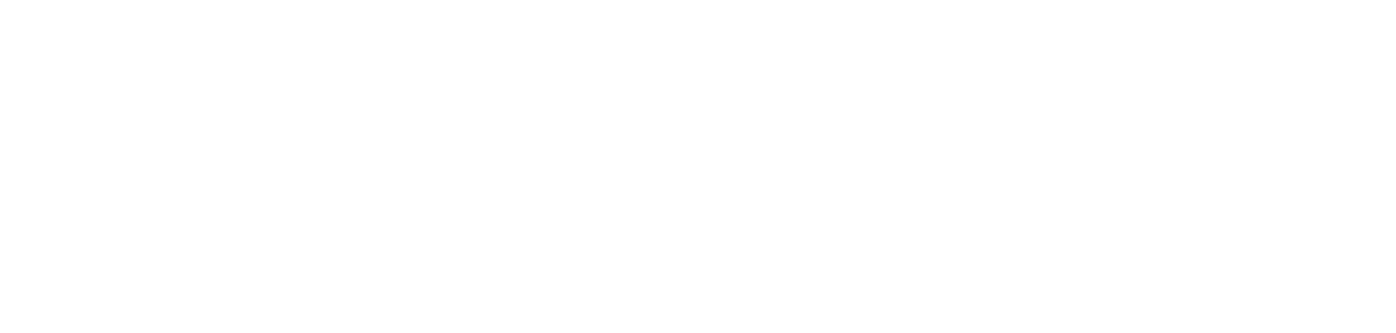 Nürnberger Versicherung
 logo grand pour les fonds sombres (PNG transparent)