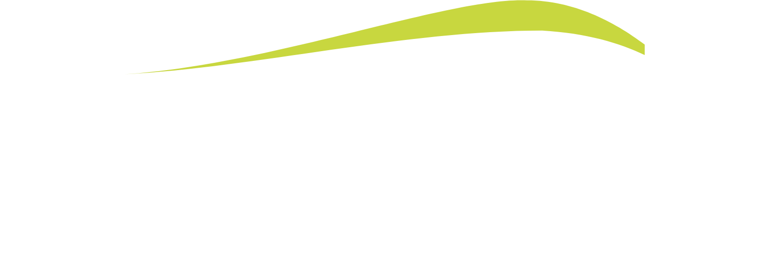Northeast Bank Logo groß für dunkle Hintergründe (transparentes PNG)