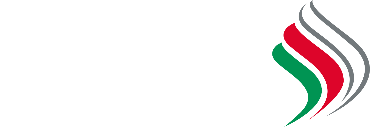 National Bank of Oman logo grand pour les fonds sombres (PNG transparent)