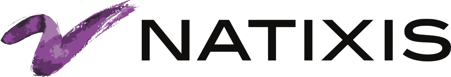 Natixis logo large (transparent PNG)
