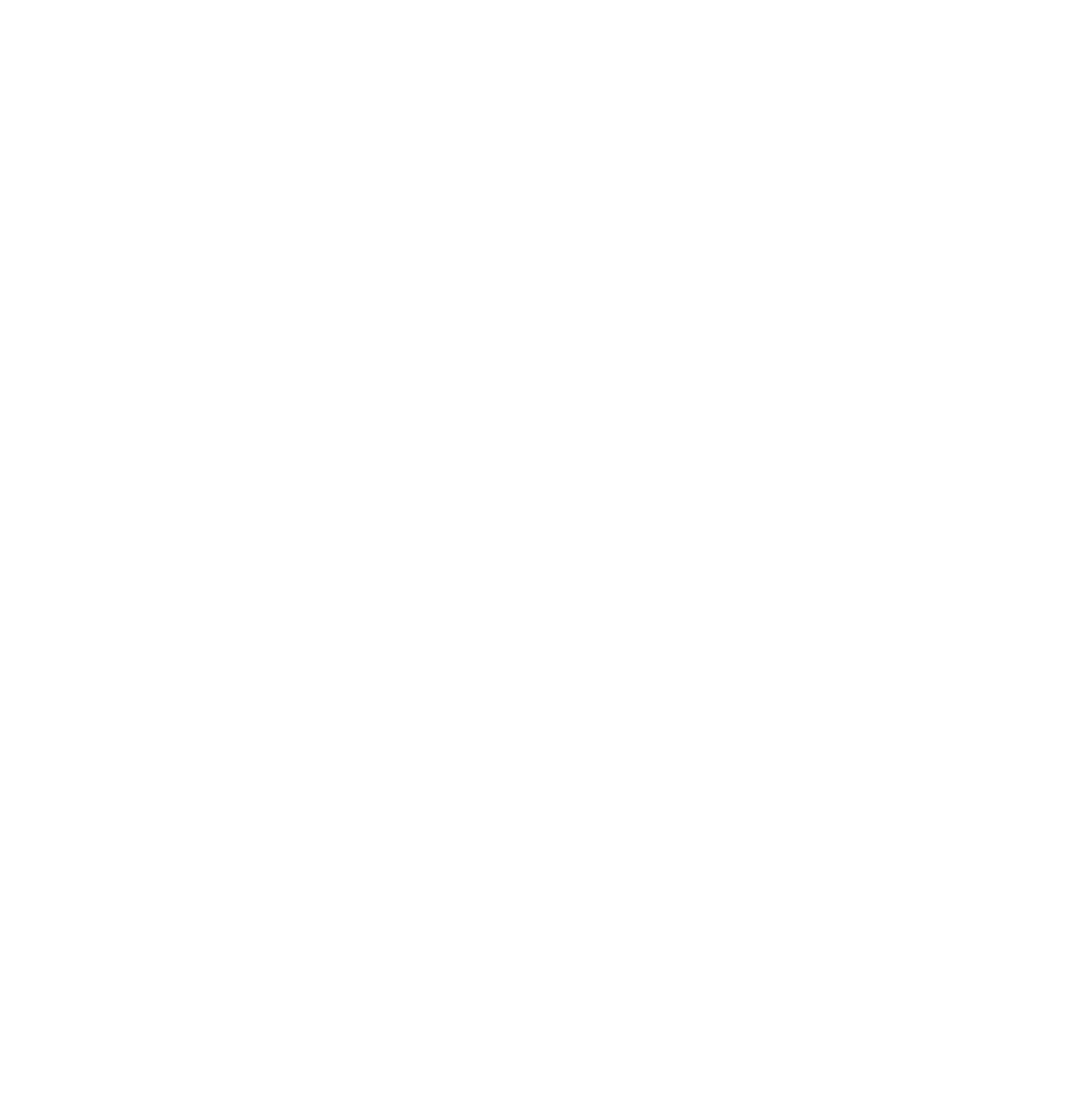 Nabors Industries
 logo pour fonds sombres (PNG transparent)