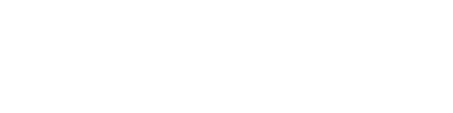 NBT Bancorp logo large for dark backgrounds (transparent PNG)