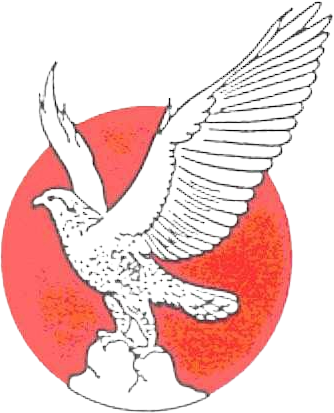 National Cement Company P.S.C. Logo (transparentes PNG)