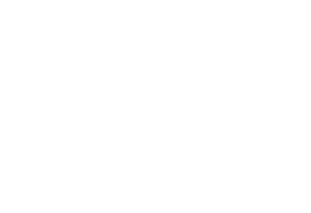 Neo-Concept International Group logo pour fonds sombres (PNG transparent)