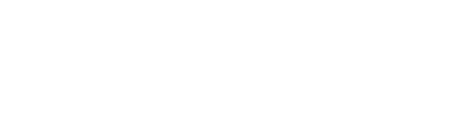 Northann Corp logo fulle size on a dark background (transparent PNG)