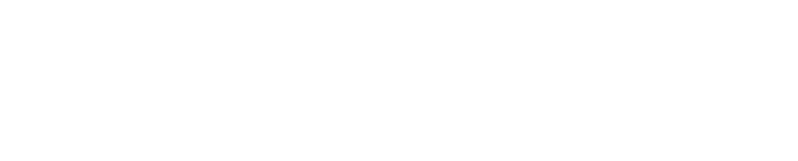 Netcapital logo grand pour les fonds sombres (PNG transparent)