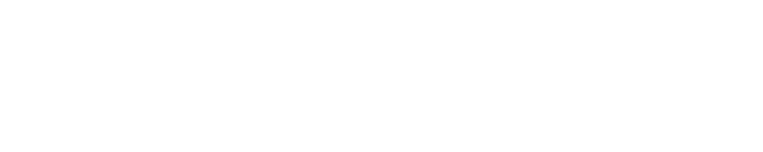 Noodles & Company logo large for dark backgrounds (transparent PNG)