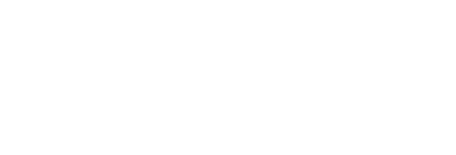 Nordson logo for dark backgrounds (transparent PNG)