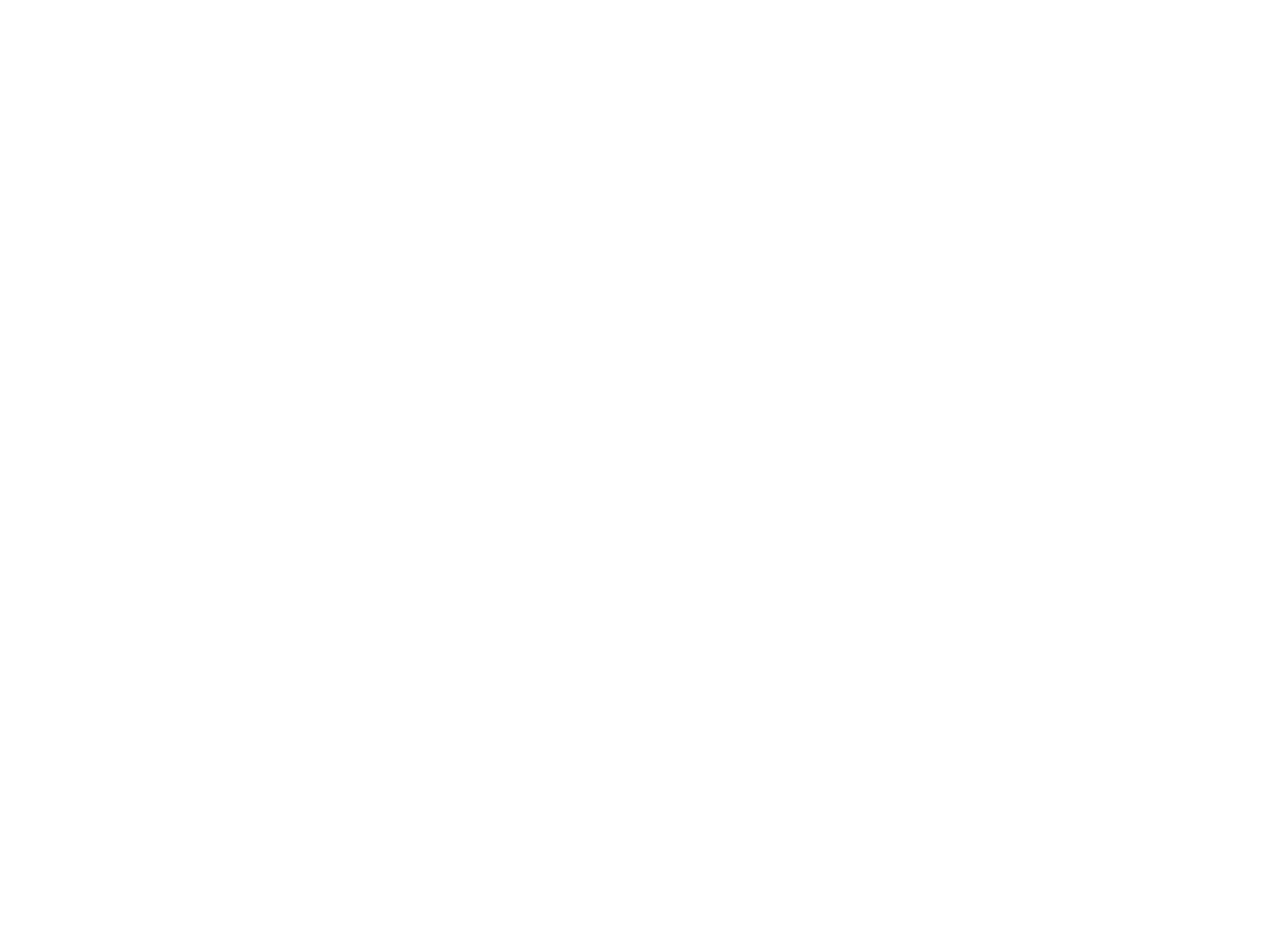 naturenergie holding logo pour fonds sombres (PNG transparent)