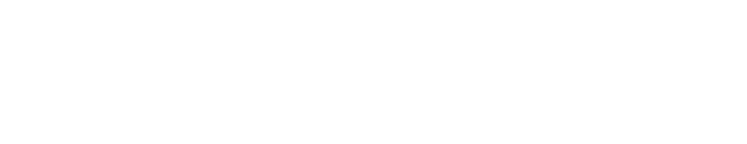 naturenergie holding Logo groß für dunkle Hintergründe (transparentes PNG)