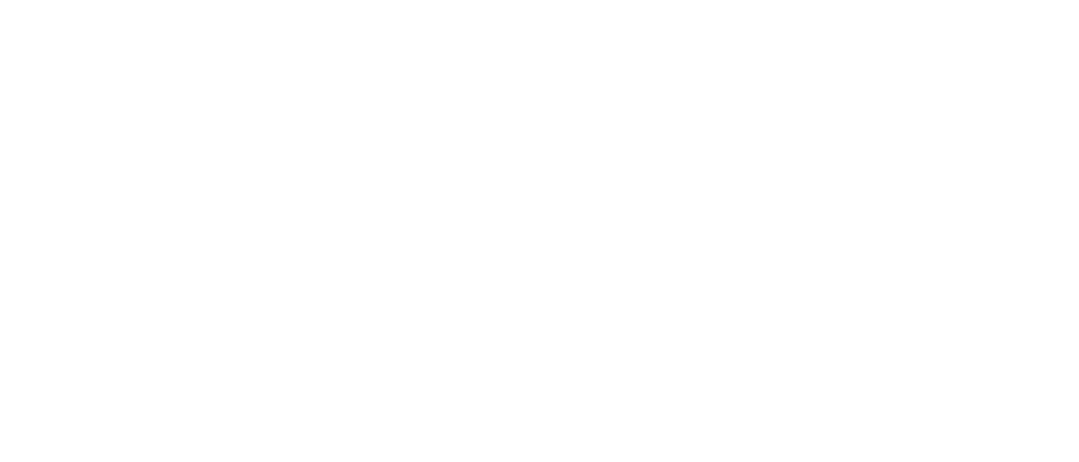 Nelco logo fulle size on a dark background (transparent PNG)