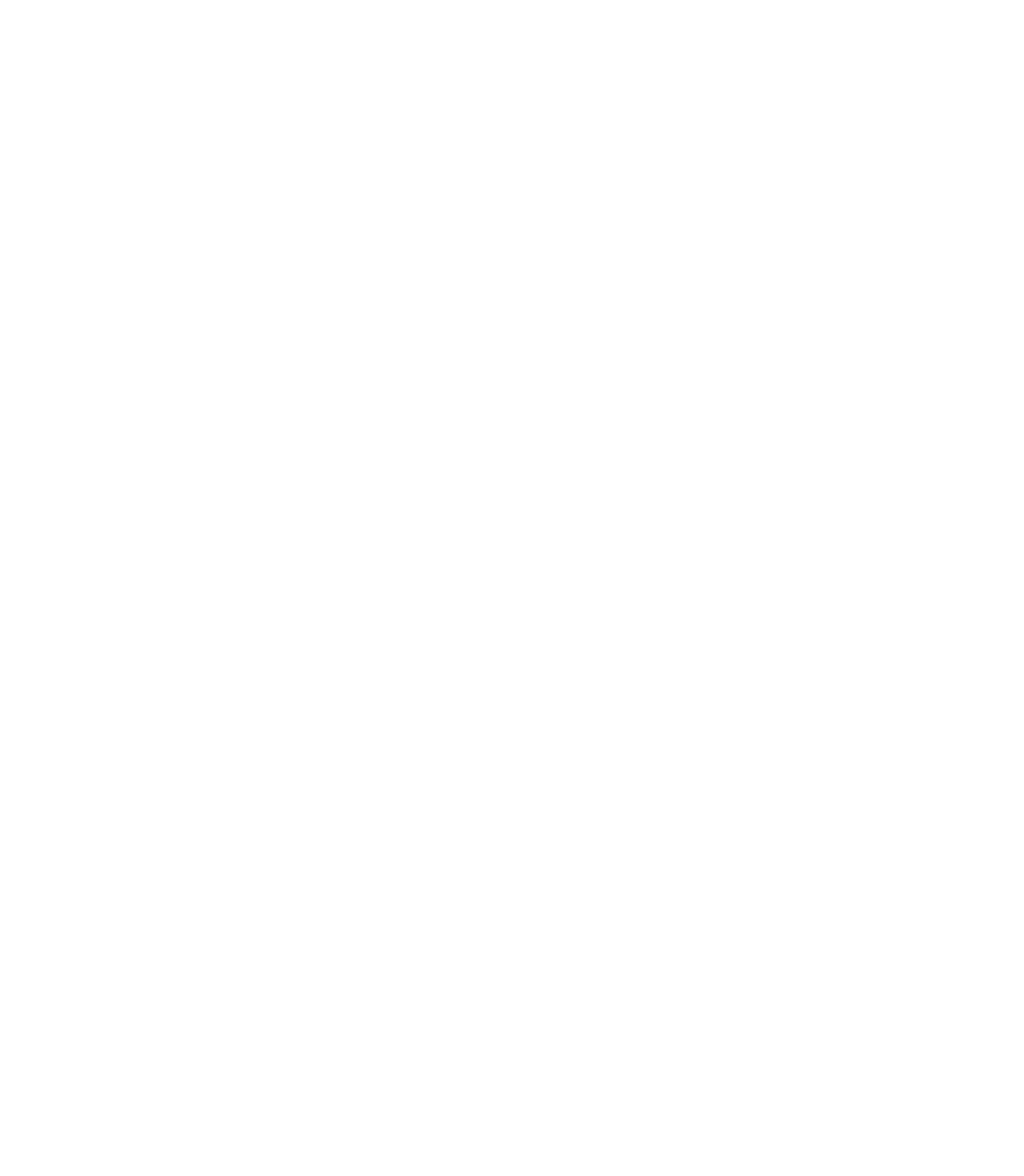 Nordic Entertainment Group (NENT Group) Logo für dunkle Hintergründe (transparentes PNG)