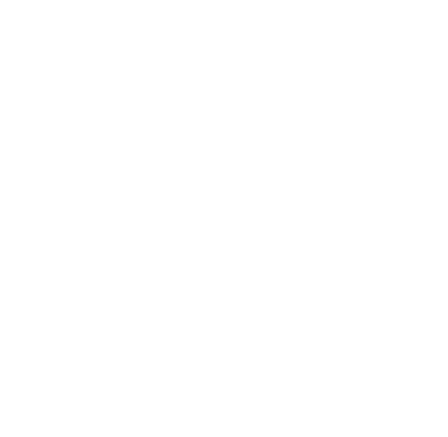 Neoen Logo für dunkle Hintergründe (transparentes PNG)