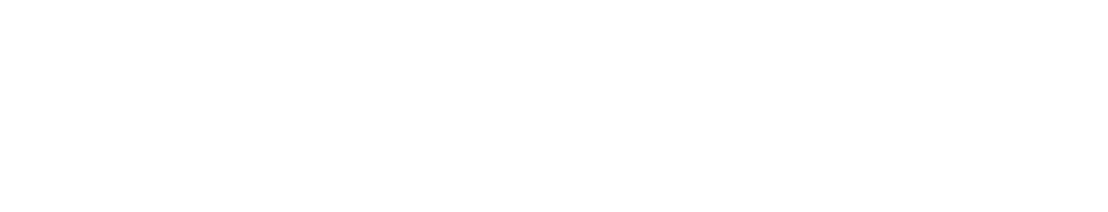 Neoen logo grand pour les fonds sombres (PNG transparent)