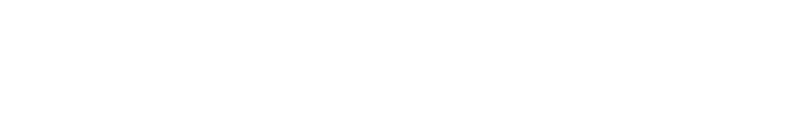 Neonode Logo groß für dunkle Hintergründe (transparentes PNG)