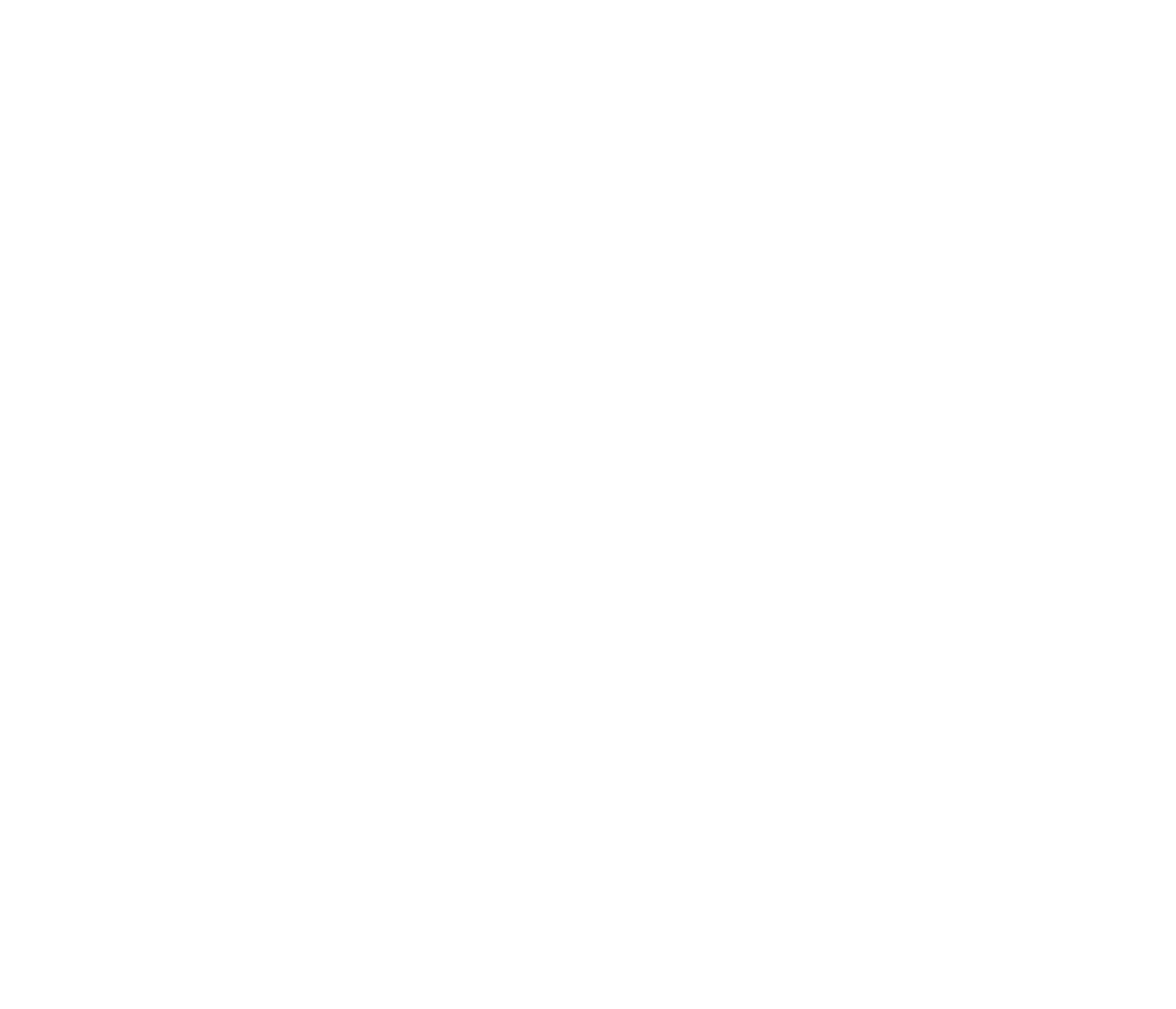 NeoVolta logo pour fonds sombres (PNG transparent)