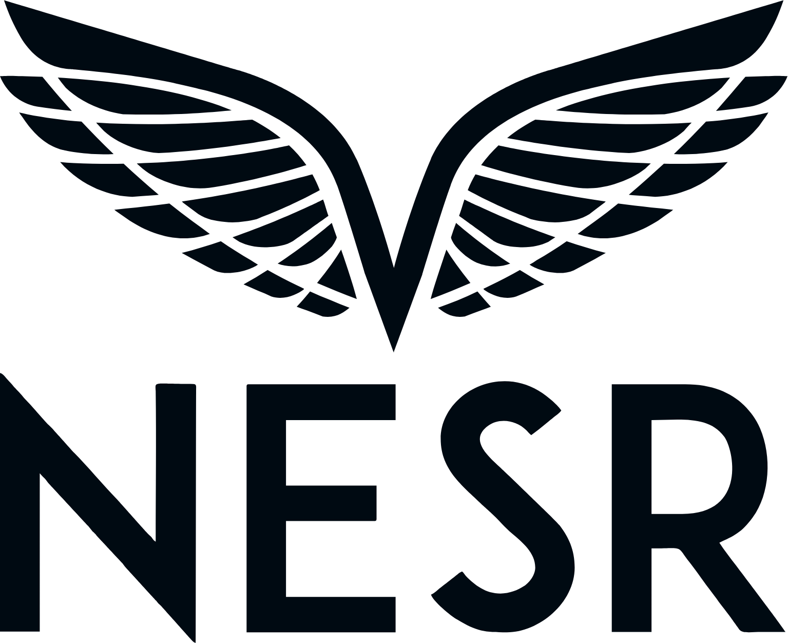 National Energy Services Reunited
 logo large (transparent PNG)