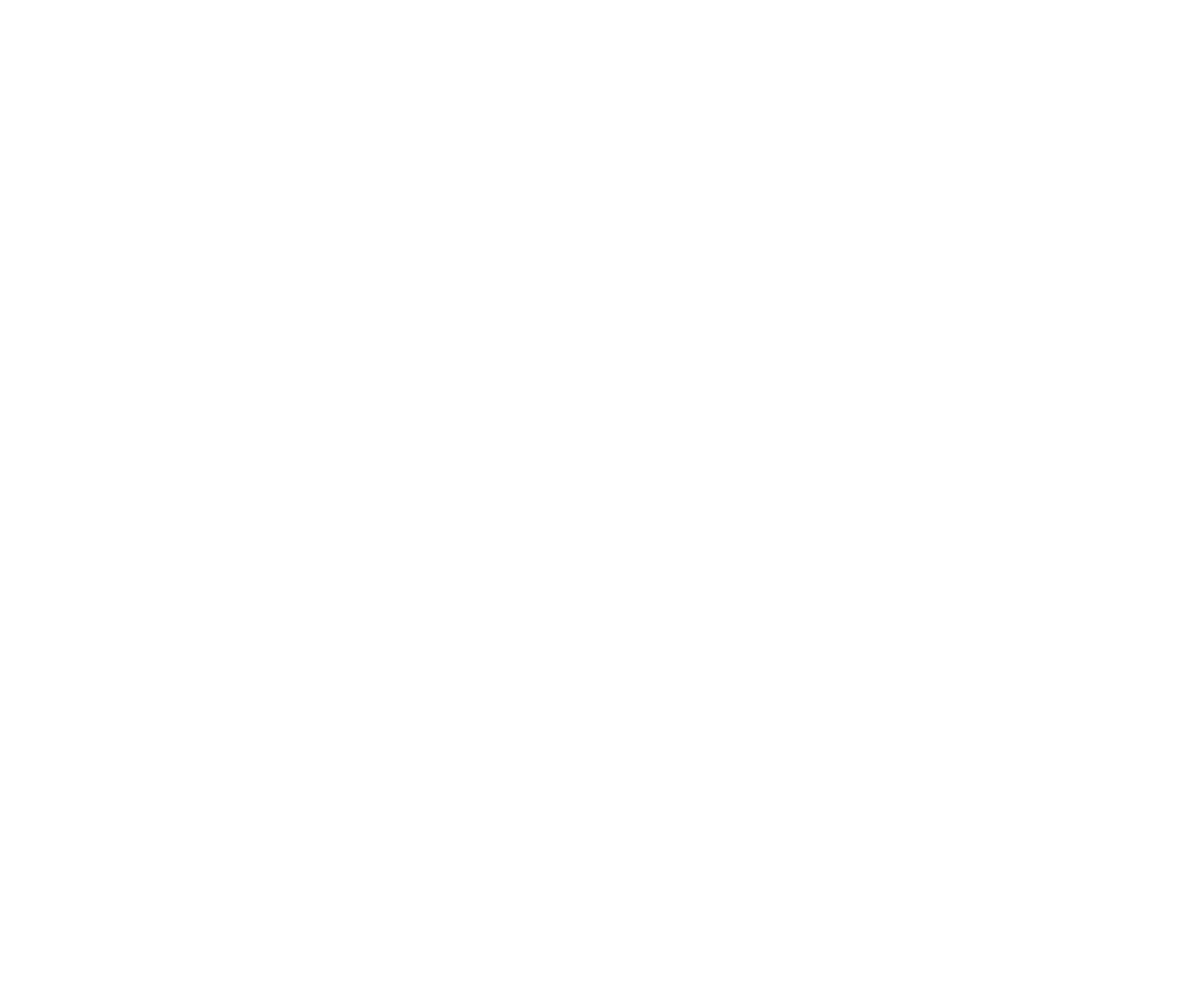 National Energy Services Reunited
 logo grand pour les fonds sombres (PNG transparent)