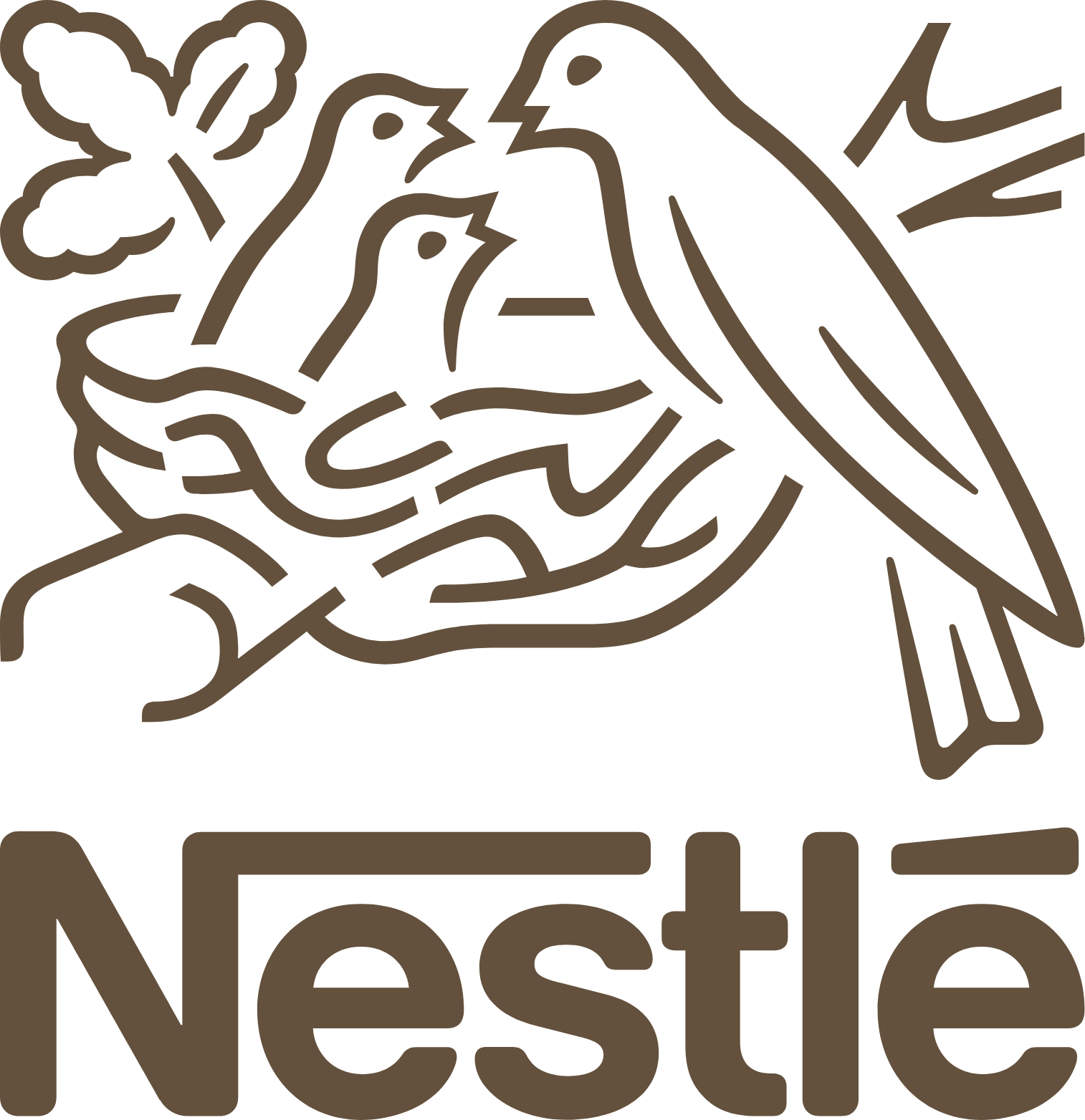 Nestle Pakistan logo large (transparent PNG)