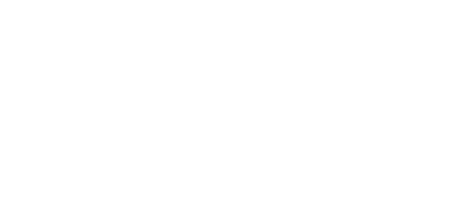 Netcompany Group Logo für dunkle Hintergründe (transparentes PNG)