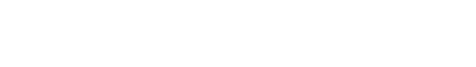 Netcompany Group Logo groß für dunkle Hintergründe (transparentes PNG)