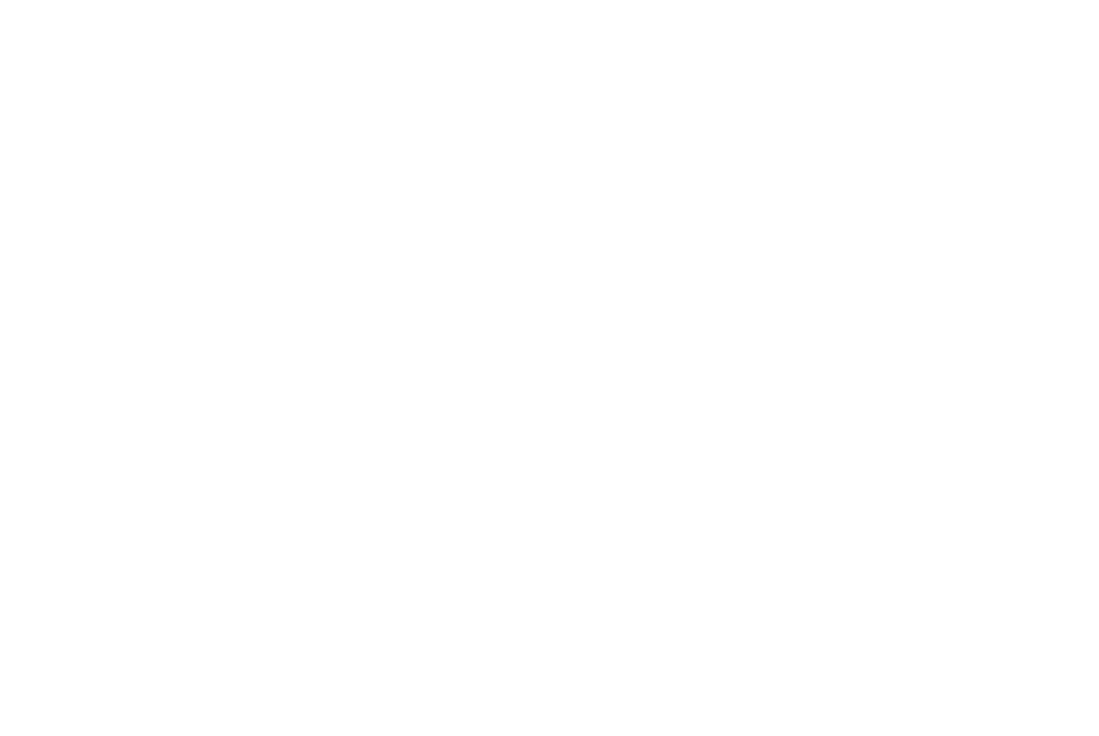 Netel Holding logo pour fonds sombres (PNG transparent)