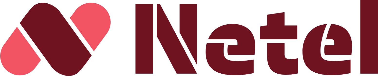 Netel Holding logo large (transparent PNG)