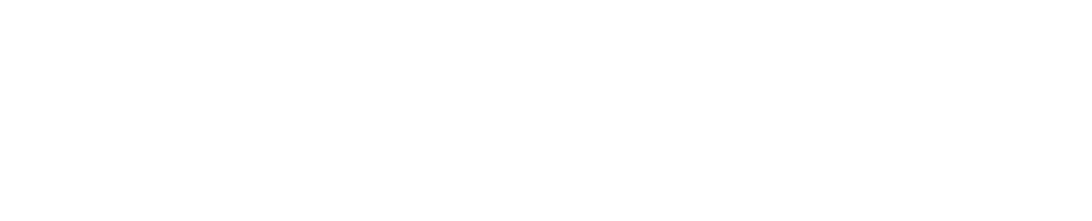 Netel Holding logo fulle size on a dark background (transparent PNG)