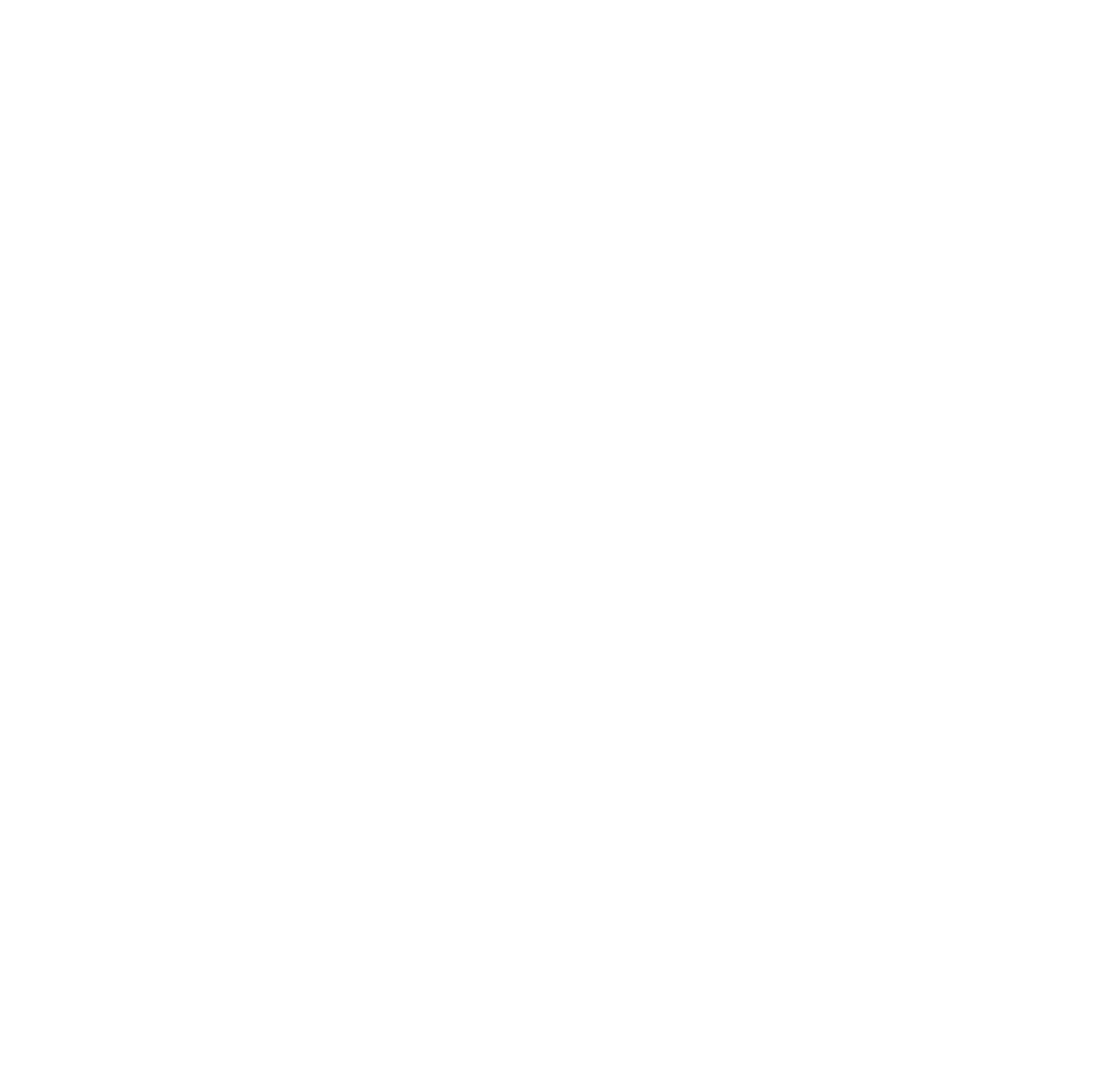 Newtek logo for dark backgrounds (transparent PNG)